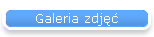 Galeria zdj